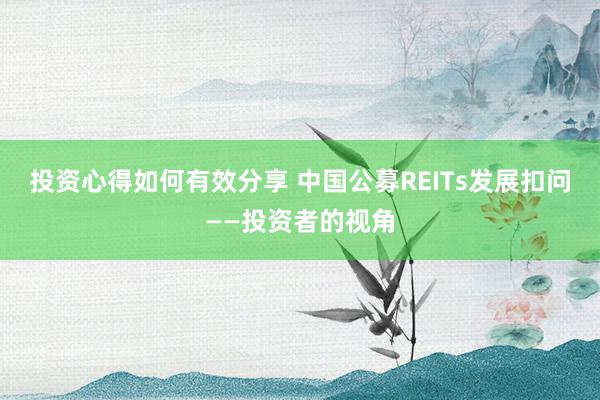 投资心得如何有效分享 中国公募REITs发展扣问——投资者的视角