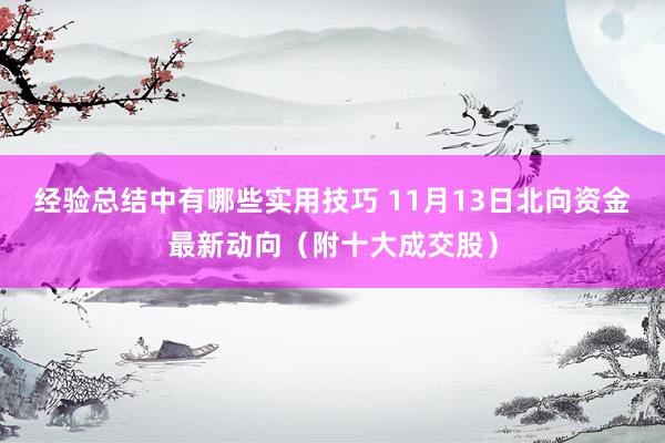 经验总结中有哪些实用技巧 11月13日北向资金最新动向（附十大成交股）