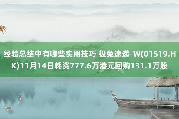 经验总结中有哪些实用技巧 极兔速递-W(01519.HK)11月14日耗资777.6万港元回购131.1万股