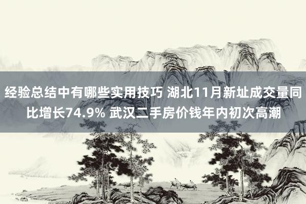 经验总结中有哪些实用技巧 湖北11月新址成交量同比增长74.9% 武汉二手房价钱年内初次高潮