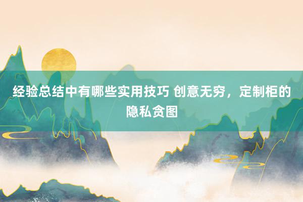 经验总结中有哪些实用技巧 创意无穷，定制柜的隐私贪图