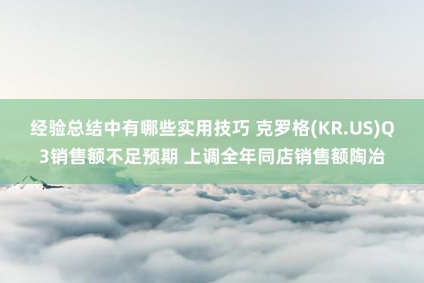 经验总结中有哪些实用技巧 克罗格(KR.US)Q3销售额不足预期 上调全年同店销售额陶冶