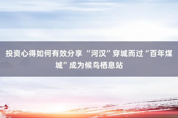 投资心得如何有效分享 “河汉”穿城而过“百年煤城”成为候鸟栖息站