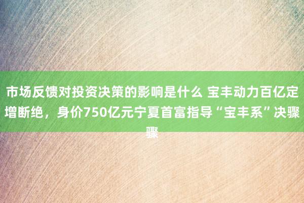 市场反馈对投资决策的影响是什么 宝丰动力百亿定增断绝，身价750亿元宁夏首富指导“宝丰系”决骤