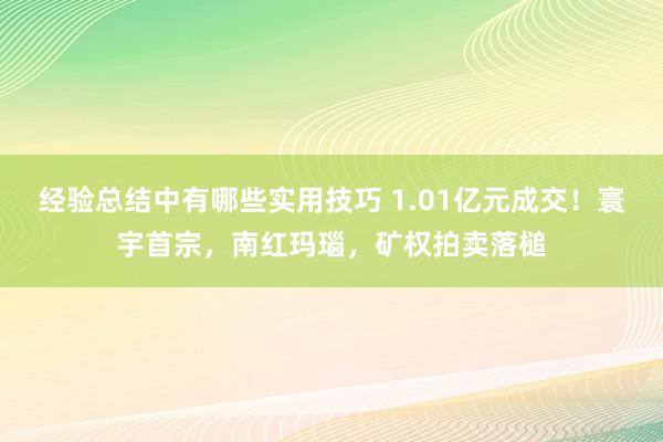 经验总结中有哪些实用技巧 1.01亿元成交！寰宇首宗，南红玛瑙，矿权拍卖落槌