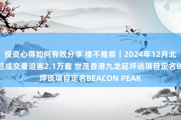 投资心得如何有效分享 楼不雅察｜2024年12月北京二手住房网签成交量迫害2.1万套 世茂香港九龙延坪谈項目定名BEACON PEAK