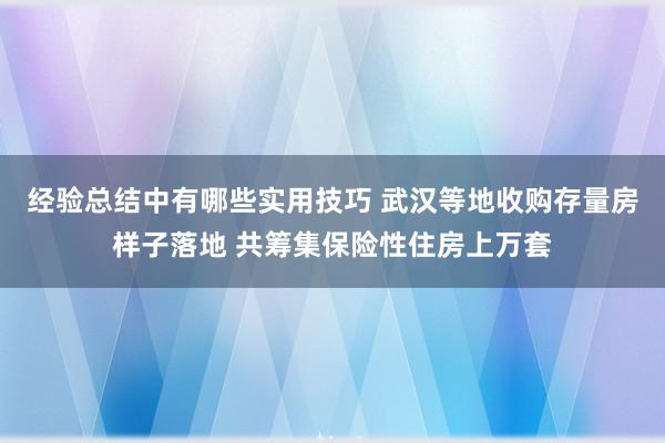 经验总结中有哪些实用技巧 武汉等地收购存量房样子落地 共筹集保险性住房上万套