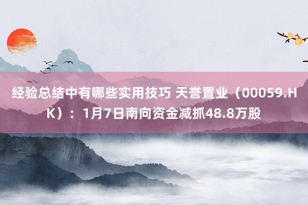 经验总结中有哪些实用技巧 天誉置业（00059.HK）：1月7日南向资金减抓48.8万股