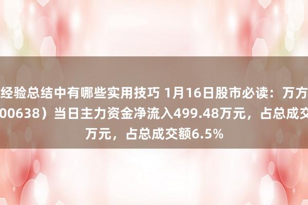 经验总结中有哪些实用技巧 1月16日股市必读：万方发展（000638）当日主力资金净流入499.48万元，占总成交额6.5%