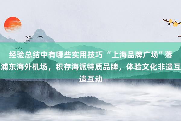 经验总结中有哪些实用技巧 “上海品牌广场”落地浦东海外机场，积存海派特质品牌，体验文化非遗互动