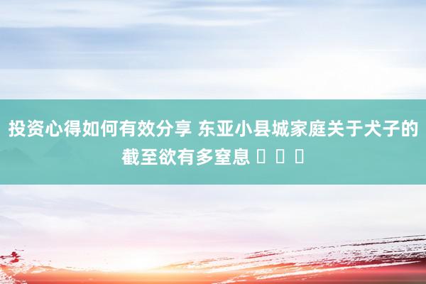 投资心得如何有效分享 东亚小县城家庭关于犬子的截至欲有多窒息 ​​​