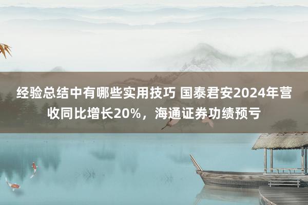 经验总结中有哪些实用技巧 国泰君安2024年营收同比增长20%，海通证券功绩预亏