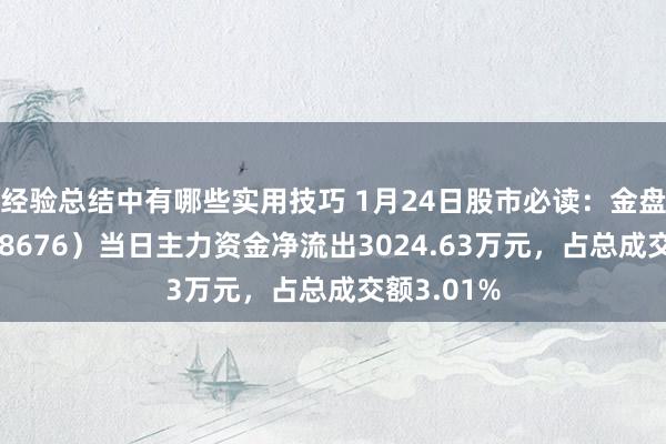 经验总结中有哪些实用技巧 1月24日股市必读：金盘科技（688676）当日主力资金净流出3024.63万元，占总成交额3.01%