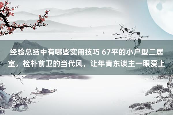 经验总结中有哪些实用技巧 67平的小户型二居室，检朴前卫的当代风，让年青东谈主一眼爱上