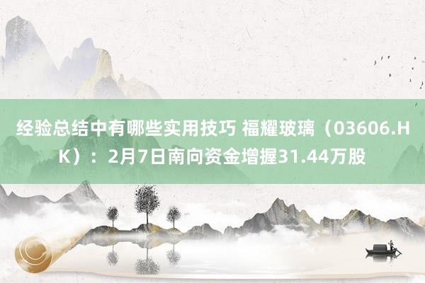 经验总结中有哪些实用技巧 福耀玻璃（03606.HK）：2月7日南向资金增握31.44万股