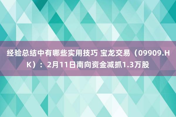 经验总结中有哪些实用技巧 宝龙交易（09909.HK）：2月11日南向资金减抓1.3万股