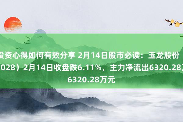 投资心得如何有效分享 2月14日股市必读：玉龙股份（601028）2月14日收盘跌6.11%，主力净流出6320.28万元