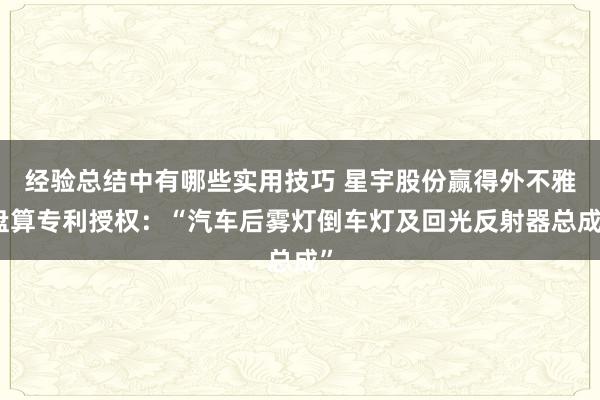 经验总结中有哪些实用技巧 星宇股份赢得外不雅盘算专利授权：“汽车后雾灯倒车灯及回光反射器总成”