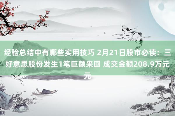 经验总结中有哪些实用技巧 2月21日股市必读：三好意思股份发生1笔巨额来回 成交金额208.9万元