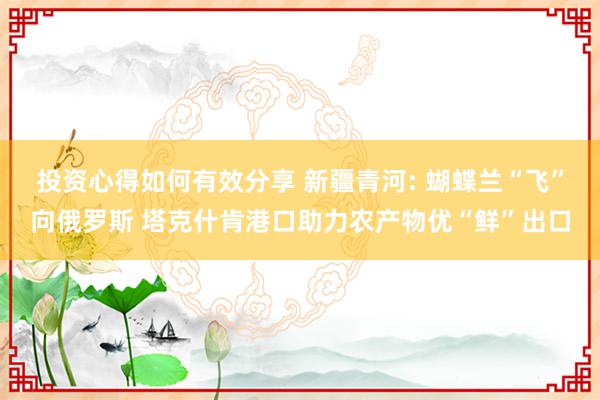 投资心得如何有效分享 新疆青河: 蝴蝶兰“飞”向俄罗斯 塔克什肯港口助力农产物优“鲜”出口