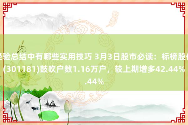 经验总结中有哪些实用技巧 3月3日股市必读：标榜股份(301181)鼓吹户数1.16万户，较上期增多42.44%