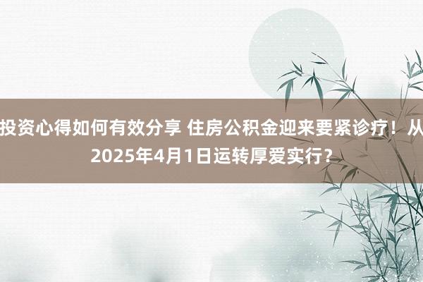 投资心得如何有效分享 住房公积金迎来要紧诊疗！从2025年4月1日运转厚爱实行？