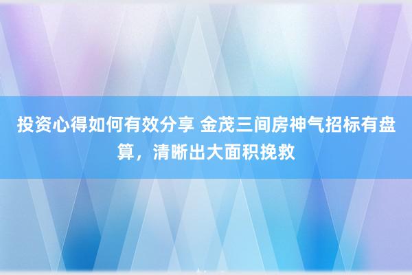 投资心得如何有效分享 金茂三间房神气招标有盘算，清晰出大面积挽救