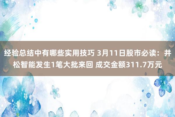 经验总结中有哪些实用技巧 3月11日股市必读：井松智能发生1笔大批来回 成交金额311.7万元