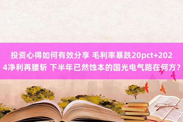 投资心得如何有效分享 毛利率暴跌20pct+2024净利再腰斩 下半年已然蚀本的国光电气路在何方？