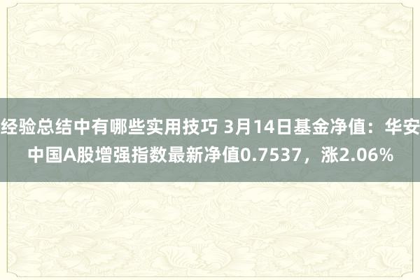 经验总结中有哪些实用技巧 3月14日基金净值：华安中国A股增强指数最新净值0.7537，涨2.06%